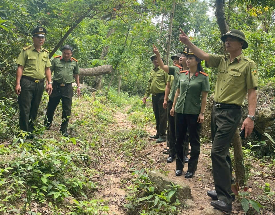 Phòng An ninh kinh tế: Phối hợp quản lý hiệu quả hơn 33.000 ha rừng và đất lâm nghiệp